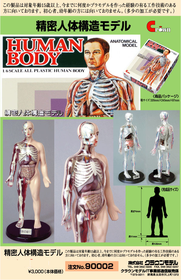 小便小僧、人体構造モデル